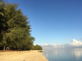 Scenic view of beach against clear blue sky