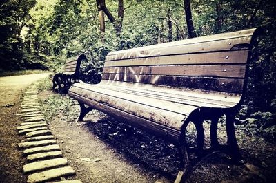 Empty bench in forest