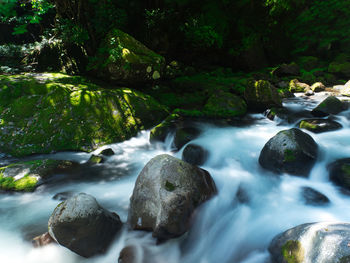 Stream flowing through rocks in forest