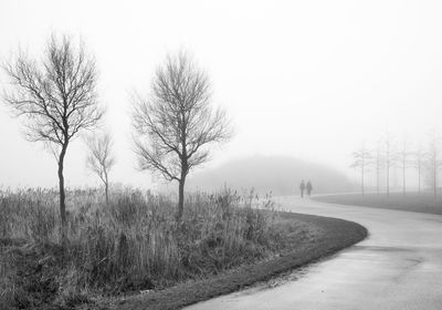 Bare trees by road against sky