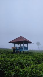 House by building against sky