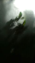 Low angle view of cloudy sky