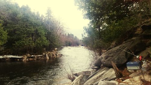 River amidst trees against sky