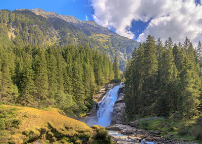 Scenic view of waterfall in forest