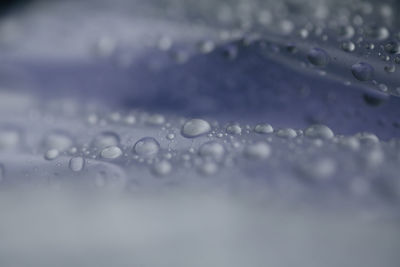 Close-up of water drops on glass