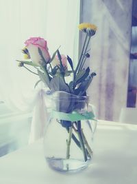 Close-up of flowers in vase