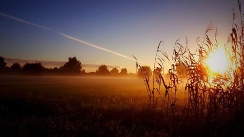 Scenic view of landscape against sky during foggy weather