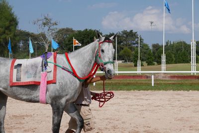 Horse cart on field against sky