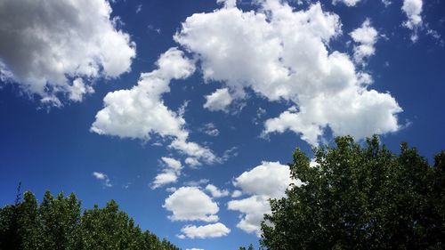 Low angle view of trees against cloudy sky