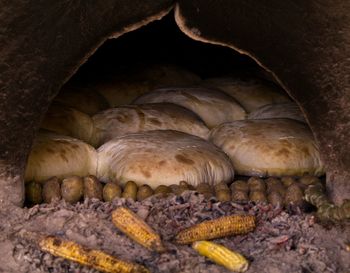 Close-up of crab on rock in cave