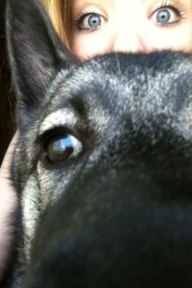 #puppy #eyepic #upclose #blueeyes