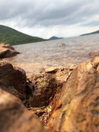 Rocks on sea shore against sky