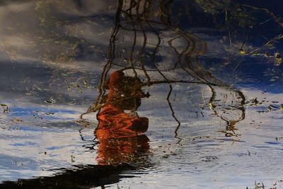 High angle view of dead plant in lake