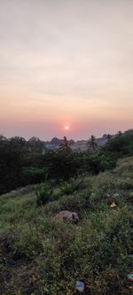 Scenic view of landscape against sky during sunset