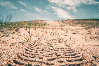 Tire tracks on field against sky