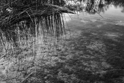 Full frame shot of wet water