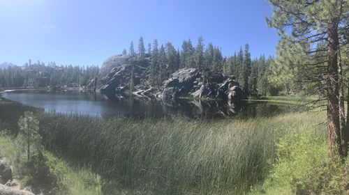 Scenic view of lake against clear sky