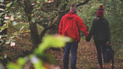 Rear view of couple holding hands while standing in forest