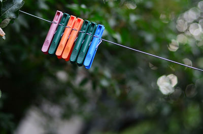 Low angle view of multi colored clothespins hanging on rope