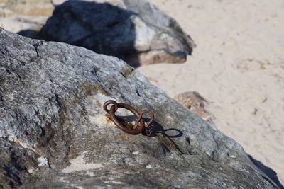 High angle view of rusty metal on rock