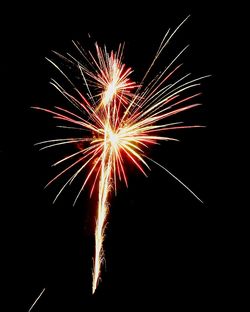 Low angle view of firework display at night