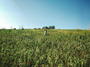 Rear view of man walking on field against clear sky