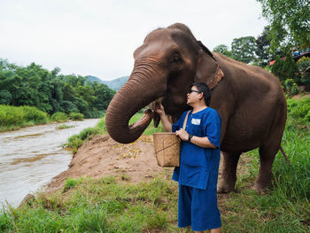 Happy asian man feeding sugar cane into mouth of elephant forest near river in chiang mai thailand. 