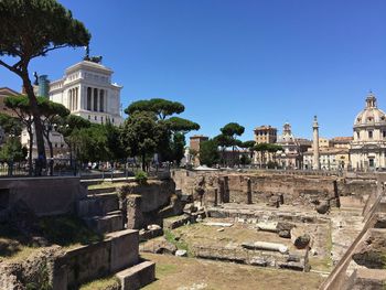 Roman forum palatine hill