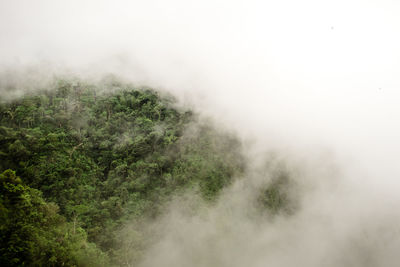 Scenic view of foggy weather against sky