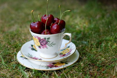 Close-up of fresh red fruit on plant in field