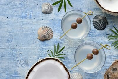 High angle view of shells on table