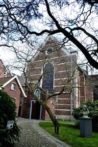 Trees in front of building