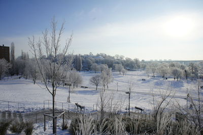 Snow covered landscape