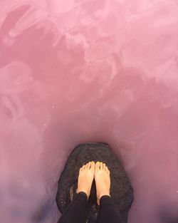 Low section of man standing on pink water