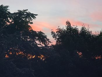 Low angle view of silhouette trees against sky during sunset