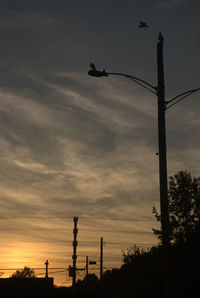 Low angle view of power lines against sky