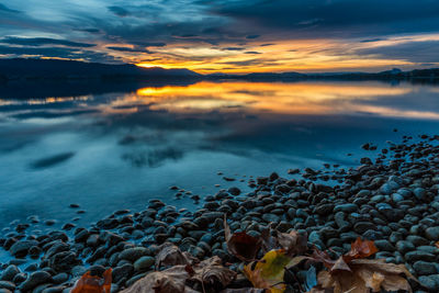Autumn leaves on the shore of lake constance at sunset