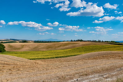 Scenic view of field against sky