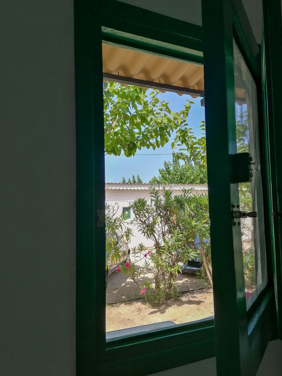 window, green, plant, architecture, glass, tree, house, indoors, interior design, nature, no people, home, window covering, built structure, day, building, transparent, open, sky, growth, home interior, residential district, wall