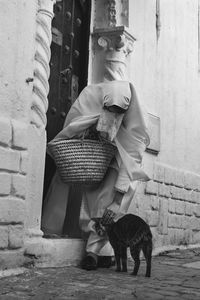 Side view of black cat sitting against wall