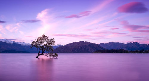 Scenic view of lake against sky during sunset