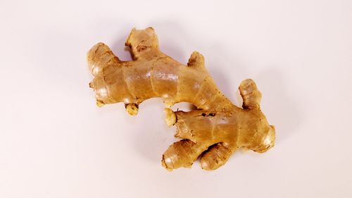 Close-up of bread in plate against white background