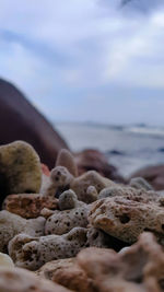 Close-up of stones on beach against sky