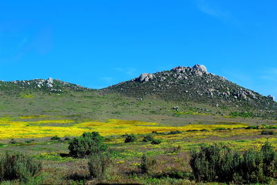 Scenic view of land against blue sky