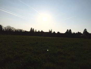 Scenic view of grassy field against sky