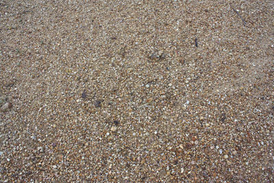 High angle view of sand on beach