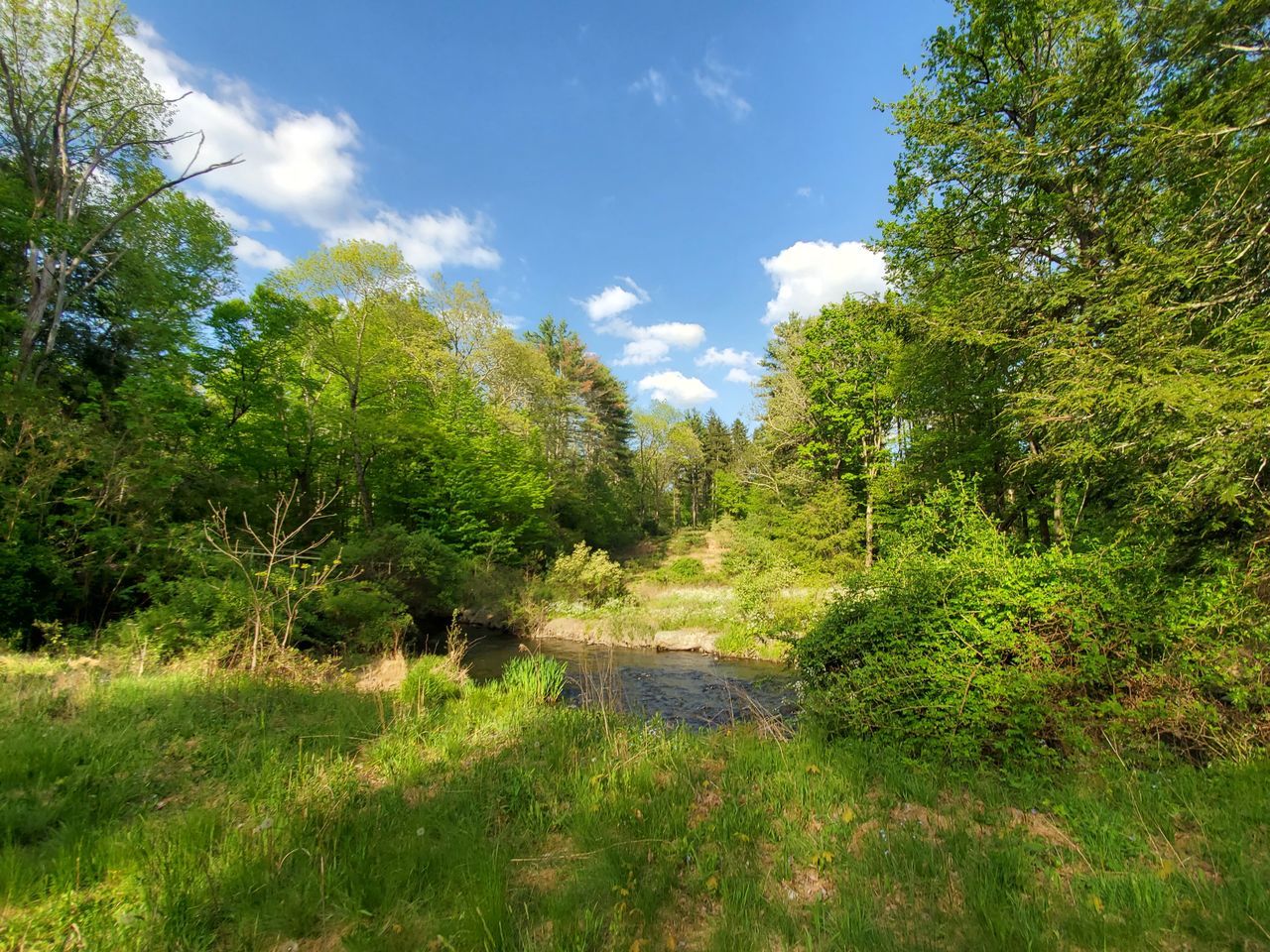 plant, tree, sky, nature, meadow, beauty in nature, woodland, natural environment, green, cloud, land, environment, landscape, forest, grass, no people, scenics - nature, tranquility, growth, rural area, day, tranquil scene, vegetation, footpath, wilderness, non-urban scene, outdoors, leaf, sunlight, trail, foliage, autumn, summer, lush foliage, travel, blue, travel destinations, water, field