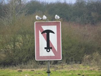 Information sign in park