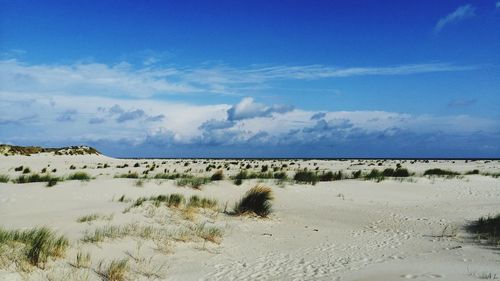 Scenic view of beach against blue sky