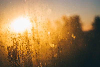 Full frame shot of yellow window